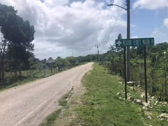 Durante el ataque, el hombre mutiló una mano a la mujer con un machete