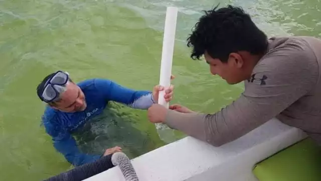 Toman muestras en la Laguna de Bacalar para conocer el daño real de la pérdida de sus colores