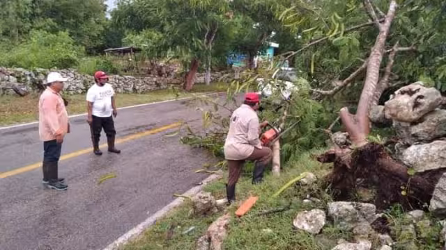 Hasta el momento, solo se han registrado daños materiales