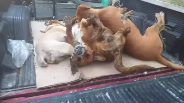 FOTO: Alejandro Colli