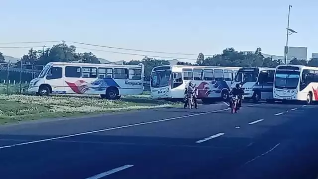 Transportistas denuncian ser víctimas de robos y asaltos desde 2014