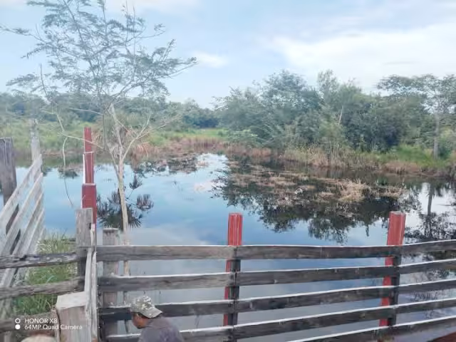 La comunidad San Ángel es la más afectada, con caminos de acceso todavía inundados; temen que salgan afectados más de mil 200 productores.