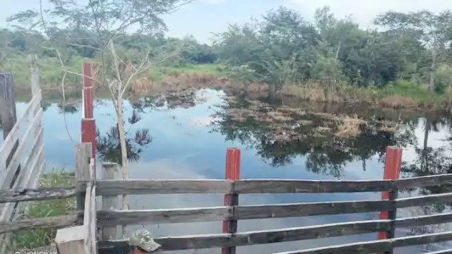 La comunidad San Ángel es la más afectada, con caminos de acceso todavía inundados; temen que salgan afectados más de mil 200 productores.