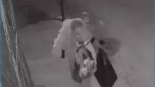 El delincuente fue captado por las cámaras de seguridad de un vecino