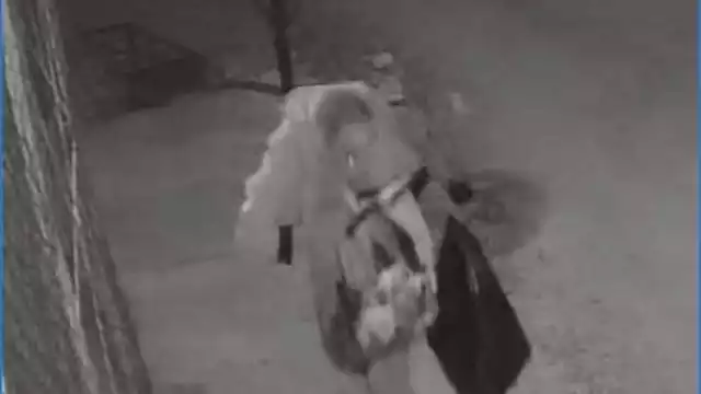 El delincuente fue captado por las cámaras de seguridad de un vecino