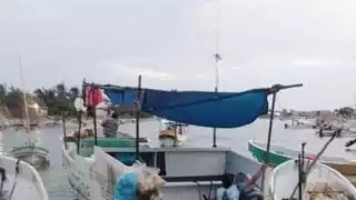Pescadores de Celestún insisten en que el mal clima no lo ha dejado trabajar