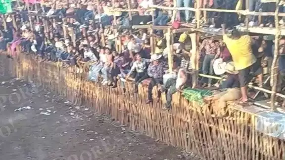 Las personas terminaron en el suelo y con el riesgo de ser atacados Las personas terminaron en el suelo y con el riesgo de ser atacados