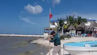 Cuadrillas de la Policía Ecológica recorrieron la zona costera para remover los banderines
