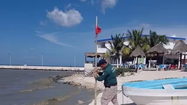 Cuadrillas de la Policía Ecológica recorrieron la zona costera para remover los banderines