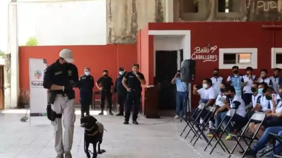 Demostraron como los perros de la SSP detectan la presencia de drogas Demostraron como los perros de la SSP detectan la presencia de drogas