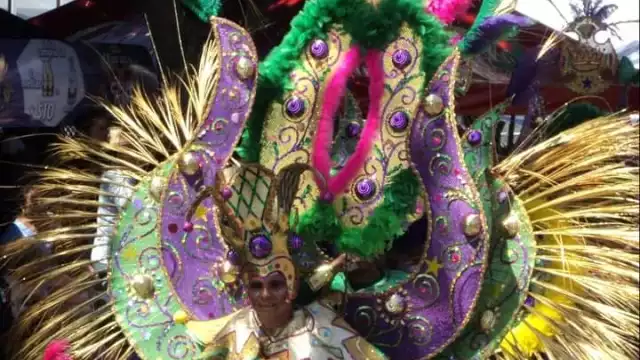 Los penachos, espalderas, batucadas y carros alegóricos, llenaron de color tan icónica avenida