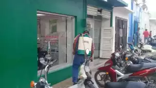 Plaga de garrapatas espanta a habitantes de Buctzotz al llenar toda una calle