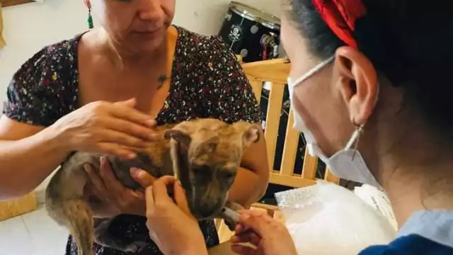 FOTO: Sandy Márquez