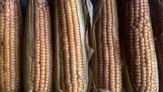 Este producto ha mantenido a Estrella por 50 años