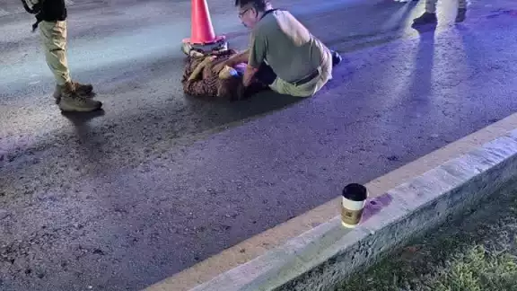 Mortal accidente en el boulevard Kukulkán deja a una mujer sin vida en la zona hotelera de Cancún. Mortal accidente en el boulevard Kukulkán deja a una mujer sin vida en la zona hotelera de Cancún.