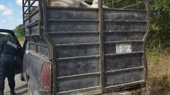 Los hechos ocurrieron el pasado 4 de febrero