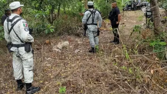 La Guardia Nacional en coordinación con la FGE Yucatán realizan labores de búsqueda en Akil