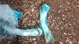 Se asegura que podría estar operando por toda la Ciudad de Mérida y municipios