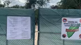 Ambientalistas denuncian deforestación tras proyecto ecoturístico en Palancar, Cozumel