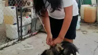 FOTO: Alejandro Collí