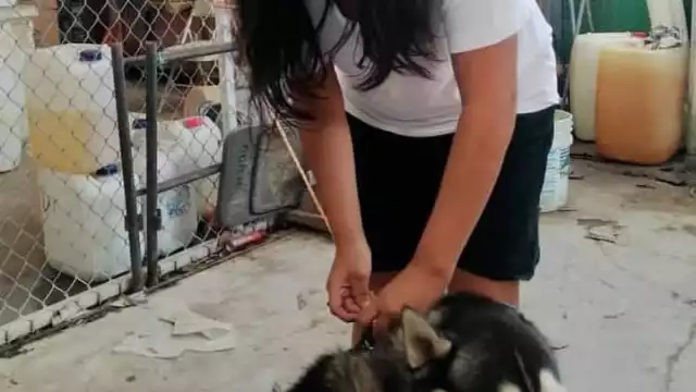 FOTO: Alejandro Collí