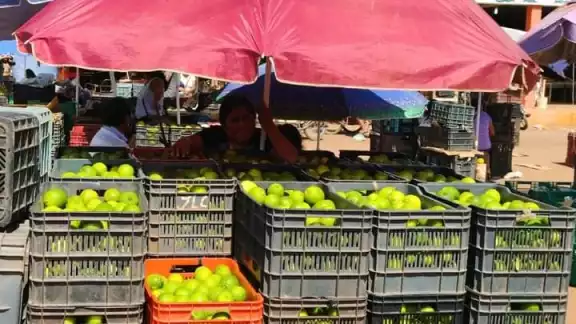 El limón verde osciló entre los 200 a 220 pesos El limón verde osciló entre los 200 a 220 pesos