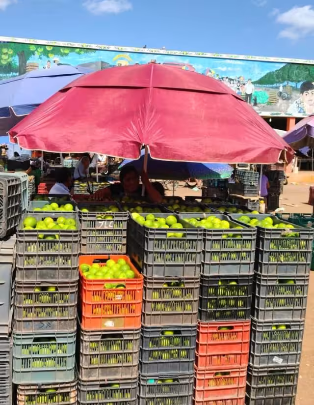 El limón verde osciló entre los 200 a 220 pesos