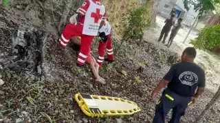 Aparentemente, intento atentar contra su integridad