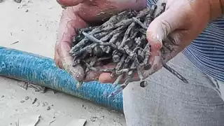 Comité de Saneamiento de Holbox pide a quienes aportan escombros que les quiten objetos peligrosos