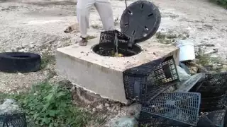 Basura en pozos de aguas residuales provoca inundaciones en Cozumel