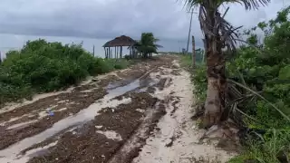 FOTOS: Abraham Cohuó