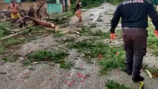 Foto: Jesús Lugo Can