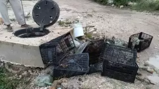 De los pozos de absorción de Cozumel han sacado cajas de plástico y bolsas de basura con residuos sólidos