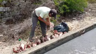 FGE investigan restos de animales encontrados en Ciudad Caucel y Kanasín