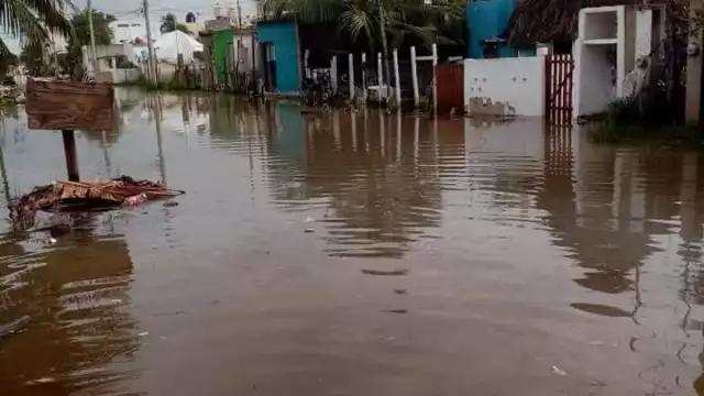 Foto: Luis Enrique Tuz