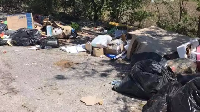 Hasta el momento el Ayuntamiento de Othón P. Blanco, no ha dado respuesta a las peticiones de la alcaldía