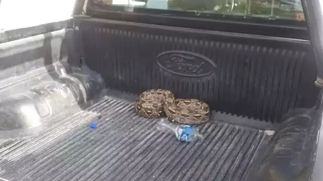 FOTO: Alejandro Colli