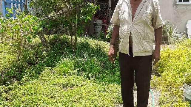 El huerto está en la calle 90 con 5 Sur, Colonia Repobladores en Cozumel