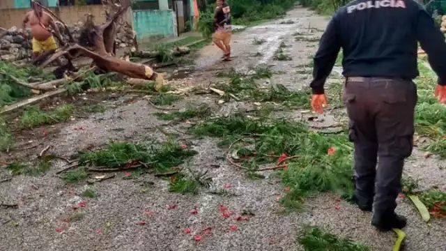 Foto: Jesús Lugo Can