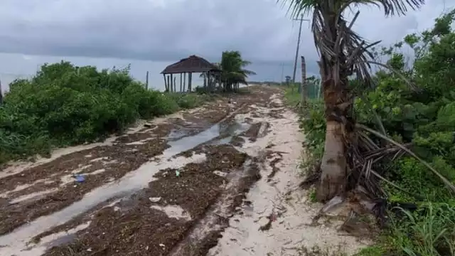 FOTOS: Abraham Cohuó