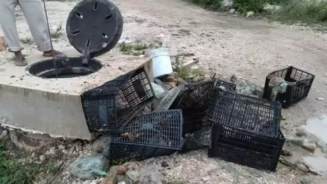 De los pozos de absorción de Cozumel han sacado cajas de plástico y bolsas de basura con residuos sólidos