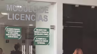 ¿No puedes tramitar gratis la licencia en Yucatán? Estos son los precios actualizados para 2026