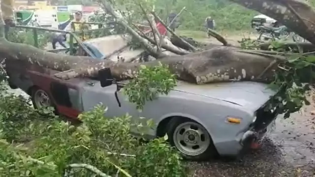 FOTOS: Feliciano Sánchez