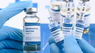 Las vacunas arribaron esta mañana