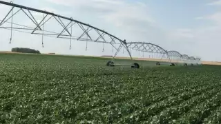 Empresa EnerAll amenaza a pobladores de Tizimín para frenar  las investigaciones por contaminación de agroquímicos