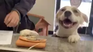 “Nariz de corazón” logró cautivar a las redes sociales tras un video en el que se le ve sonriendo de oreja a oreja