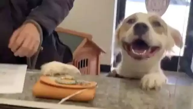 “Nariz de corazón” logró cautivar a las redes sociales tras un video en el que se le ve sonriendo de oreja a oreja