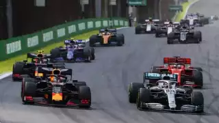 Marmotas han sido atropelladas en competencias de la Formula 1