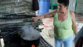 Más de 76 mil familias en Campeche usan madera como fuente de energía, indica el Inegi