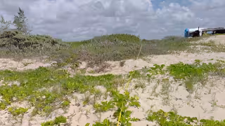 Semarnat desecha evaluación ambiental de proyecto turístico de lujo en Puerto Morelos